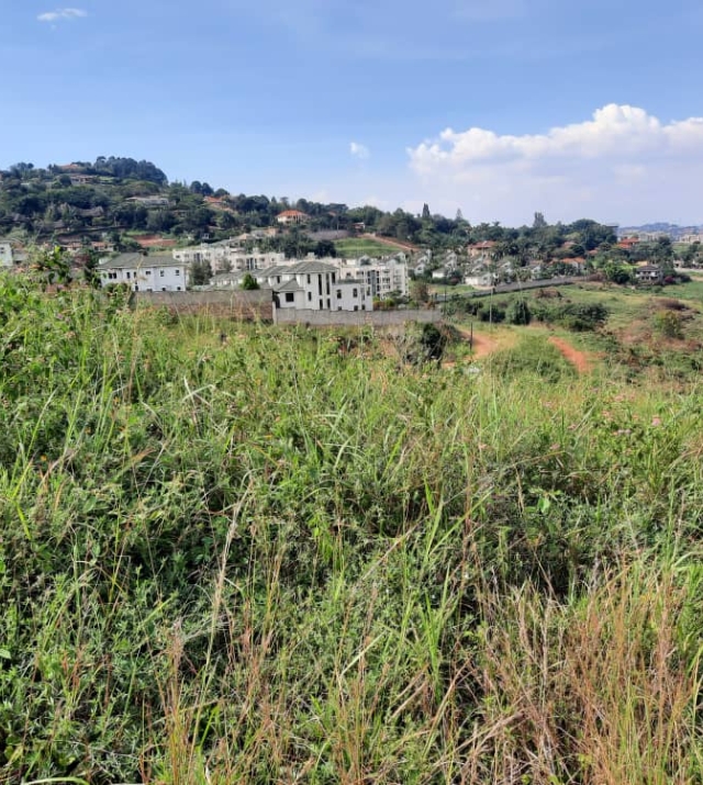 WhatsApp Image 2021-04-17 at 09.48.27.jpeg